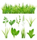 Grass realistic. Ecology set green herbs leaves plants lifes meadows vector elements collection