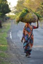 Grass reaper woman in India