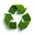 Grass Recycle Symbol Ã¢â¬\' Eco-Friendly Sustainability and Green Concept Royalty Free Stock Photo