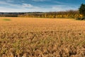 Grass reddish brown Died because of the herbicide