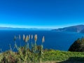 Porto Moniz - Grass reed with scenic view of idyllic coastal towns on rugged cliffs along coastline of Atlantic Ocean Royalty Free Stock Photo