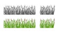 Grass with reeds set silhouette and color option. Isolated background. Vector illustration. Royalty Free Stock Photo