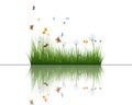 Grass with reflections in water Royalty Free Stock Photo