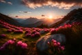 a grass with rhododendron blooms scattered around big stones. Sunrise over a mountain range with an intriguing sky and clouds.