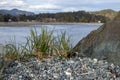 Grass and rocks on the coast in the pacific northwest