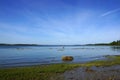 Grass and rocks in shallow waters off coast