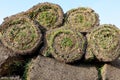 Grass rolls are piled in careless stacks, sod rolls Royalty Free Stock Photo