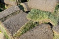 Grass rolls are piled in careless stacks, sod rolls Royalty Free Stock Photo
