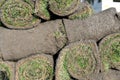 Grass rolls are piled in careless stacks, sod rolls Royalty Free Stock Photo