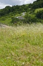 Grass, roof house and winding road Royalty Free Stock Photo