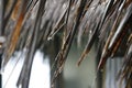 Grass Roof And Rain Drops Royalty Free Stock Photo