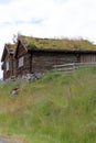 Grass roofed Hut