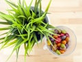 Grass in a round pot and colored candies Royalty Free Stock Photo