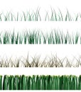 Grass samples