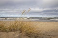 Grass sand dune beach sea view, Baltic Sea