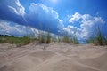 Grass on sand dunes on Baltic Sea beach, Latvia, Ventspils Royalty Free Stock Photo