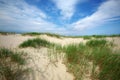 Grass on sand dunes on Baltic Sea beach, Latvia, Ventspils