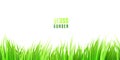 Grass seamless border with fresh green tufts isolated on white background Royalty Free Stock Photo