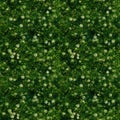 Grass seamless pattern - Generative AI