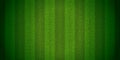 Grass seamless pattern of striped sport field Royalty Free Stock Photo