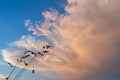 Grass set against a cloud signifying a change in the weather Royalty Free Stock Photo