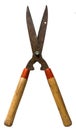 Grass shears Royalty Free Stock Photo