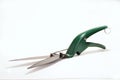Grass Shears Royalty Free Stock Photo