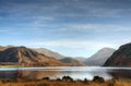 Grass on the shore of Ennerdale Royalty Free Stock Photo