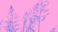 Grass silhouette isolated on pink.