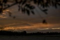 Grass silhouette in field with sunset near Ottenschlag town in Austria evening