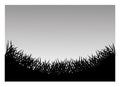 Grass plant silhouette design Royalty Free Stock Photo