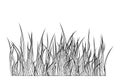 Grass silhouette vector symbol icon design. Royalty Free Stock Photo