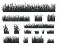 Grass silhouettes. Black tufts forest lawns. Isolated natural herbal field border. Spring summer seasonal garden herb