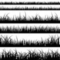 Grass silhouettes. Panorama black plants like fresh cane or weeds on plain and meadow landscape vector set Royalty Free Stock Photo