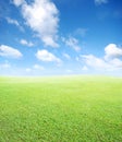 Grass and sky background