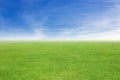 Grass and sky background Royalty Free Stock Photo