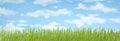 Grass Sky Banner Background Royalty Free Stock Photo