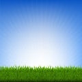 Grass And Sky Royalty Free Stock Photo