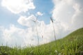 Grass and sky in the morning Royalty Free Stock Photo