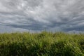 Grass and a sky with raining clouds