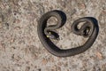 Grass snake basking in the sun Natrix natrix. Royalty Free Stock Photo