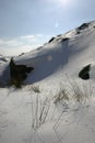 Grass & snow drift Royalty Free Stock Photo