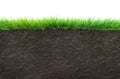 Grass and soil Royalty Free Stock Photo