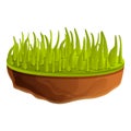 Grass soil icon, cartoon style