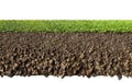 Grass and soil Royalty Free Stock Photo