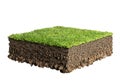 Grass and soil profile Royalty Free Stock Photo
