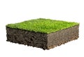 Grass and soil profile Royalty Free Stock Photo