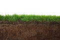 Grass and soil Royalty Free Stock Photo