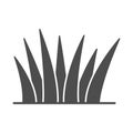 Grass solid icon, nature concept, lawn sign on white background, Grass leaves icon in glyph style for mobile concept and