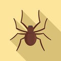 Grass spider icon, flat style